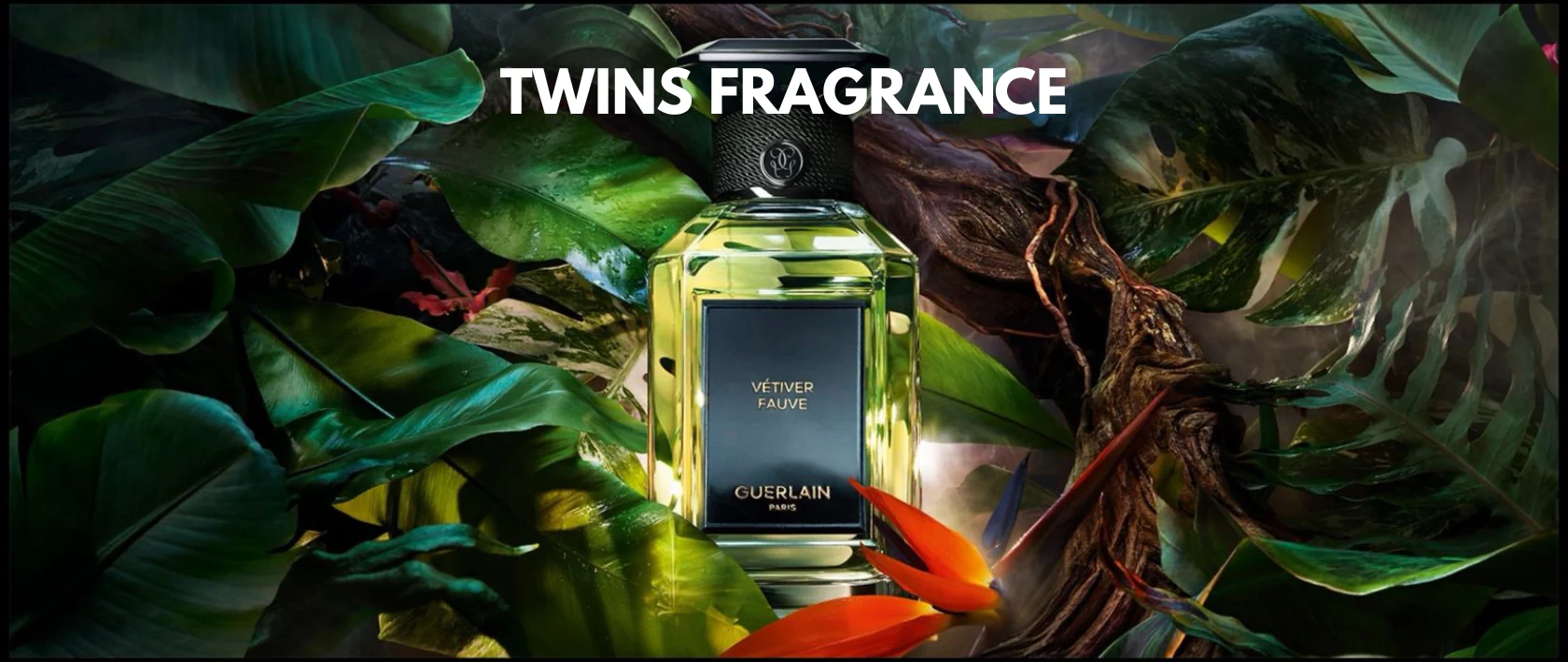 L'essence de votre dualité